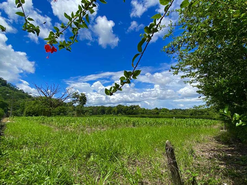 0 bed Lot/Land For Sale in Uvita,  - 1